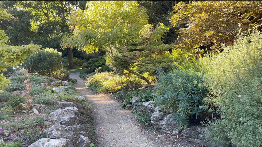 Photo of the Yorkshire Museum Gardens Photo of the Yorkshire Museum Gardens